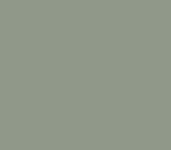 Matte Sage Green 1026