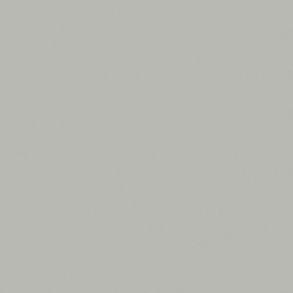 Fashion Grey