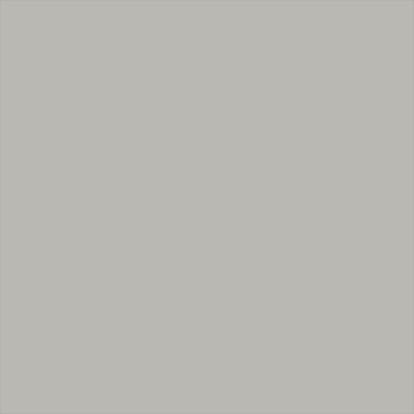 Light Grey 1515