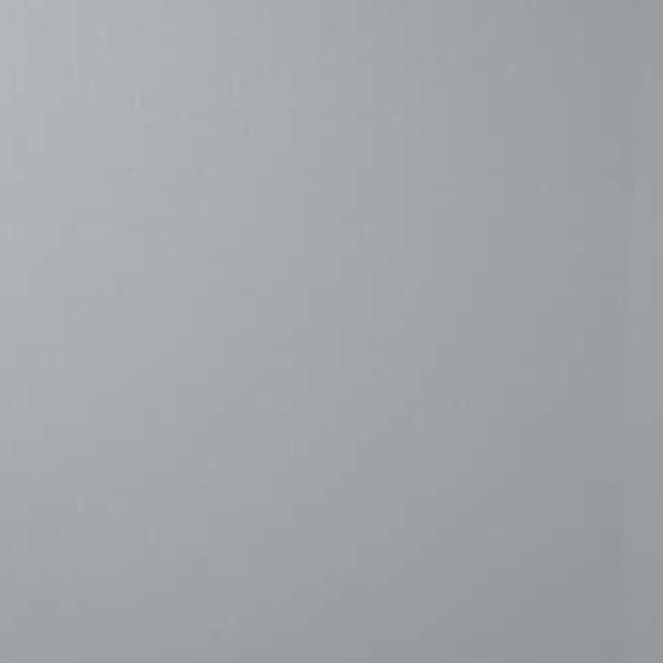 Metallic Silver 1808