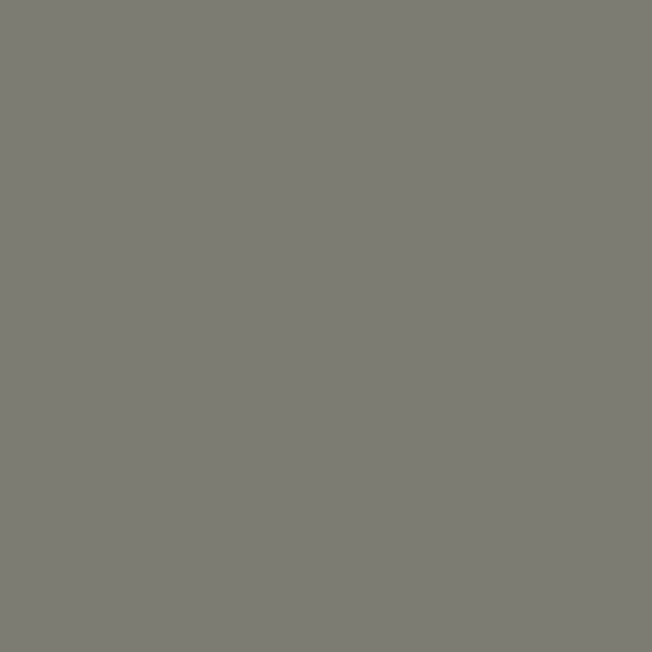 Gauntlet Grey
