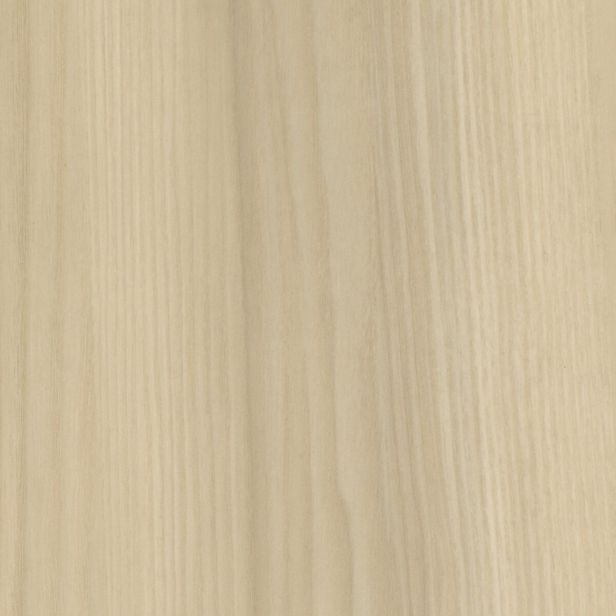 Bergen Ash - Image 1