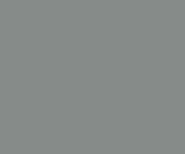 Dust Grey 3D PET