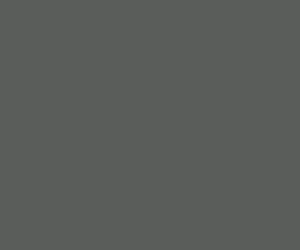 Wolfram Grey 3D PET
